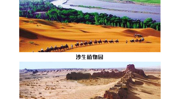 【飛行體驗】敦煌月牙泉－動力三角翼豪華游覽_副本_17.gif